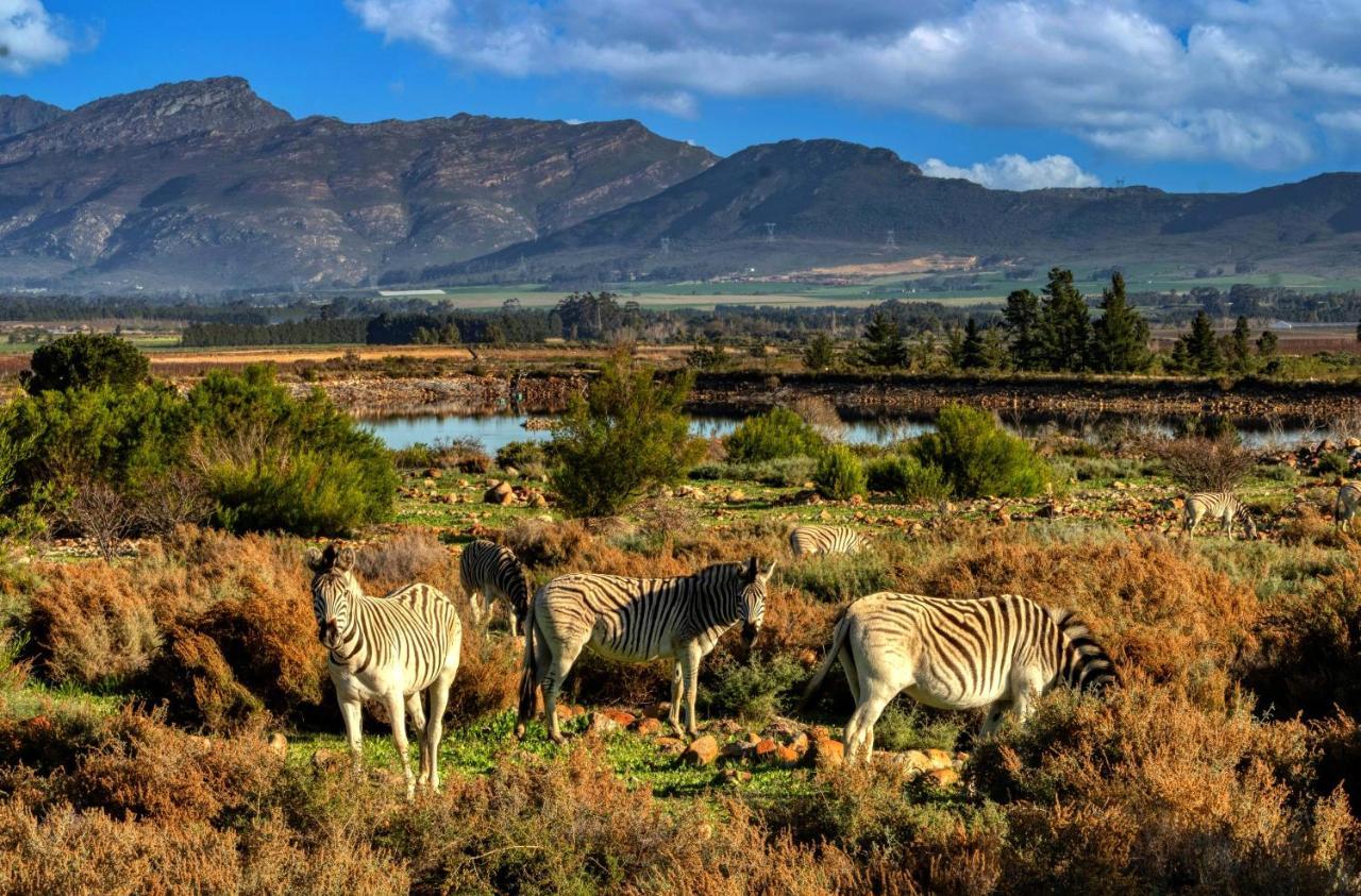 Welbedacht Game & Nature Reserve Tulbagh Exterior foto
